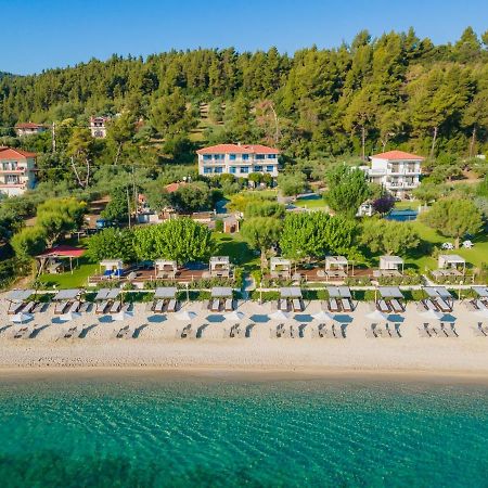 Villa Despina بوليخرونو المظهر الخارجي الصورة