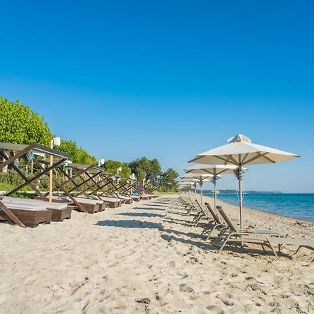 Villa Despina بوليخرونو المظهر الخارجي الصورة