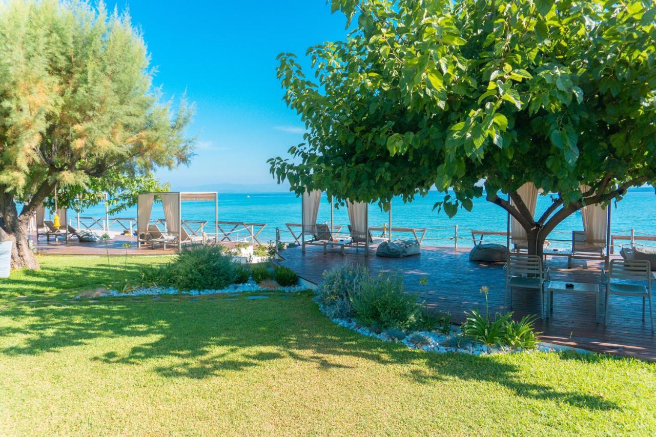 Villa Despina بوليخرونو المظهر الخارجي الصورة
