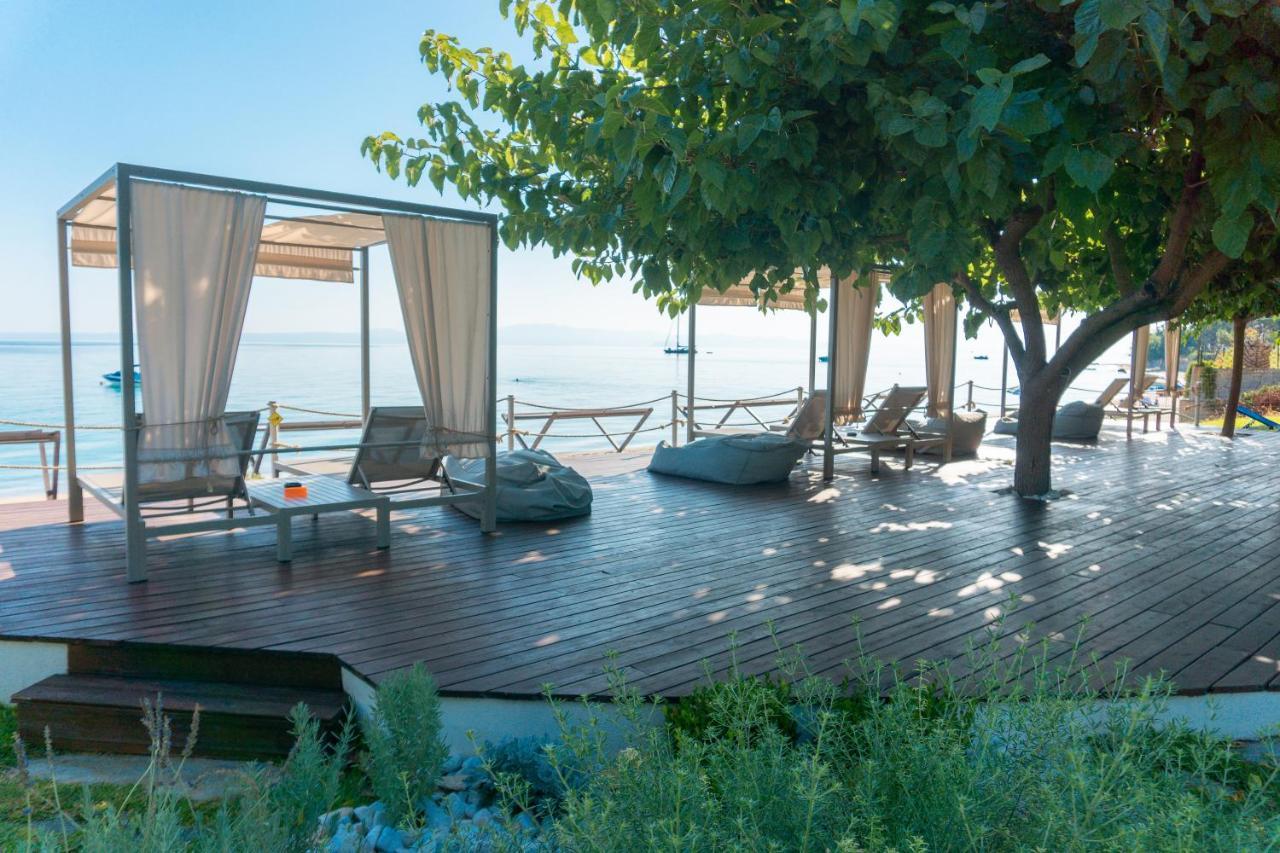 Villa Despina بوليخرونو المظهر الخارجي الصورة