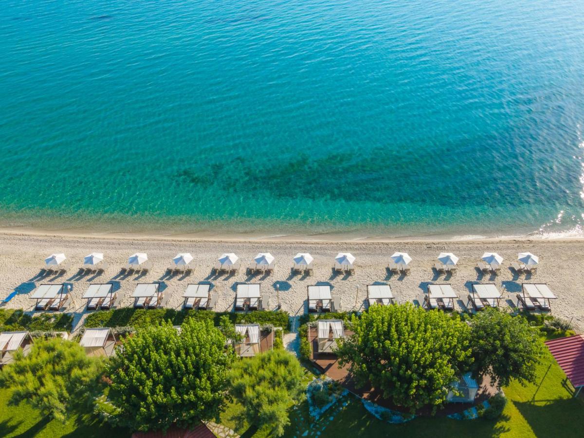 Villa Despina بوليخرونو المظهر الخارجي الصورة