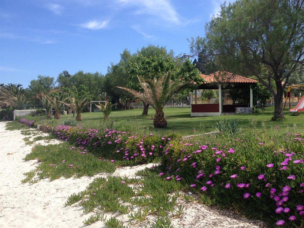 Villa Despina بوليخرونو المظهر الخارجي الصورة