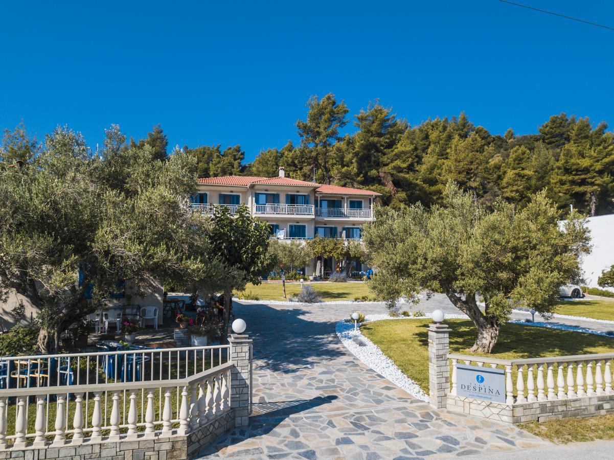 Villa Despina بوليخرونو المظهر الخارجي الصورة